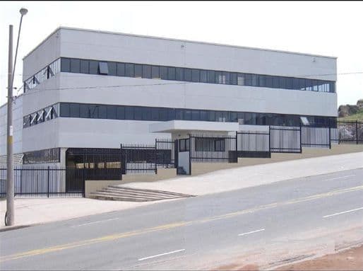 Tucunaré 491
