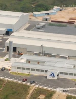Aurora Maria da Conceição 958